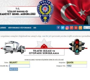Trafik Ceza Bilgileri Sorgulama