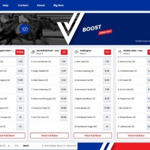 Willkommen bei Vicibet: Das ultimative Casino-Erlebnis in Deutschland mit Bonus